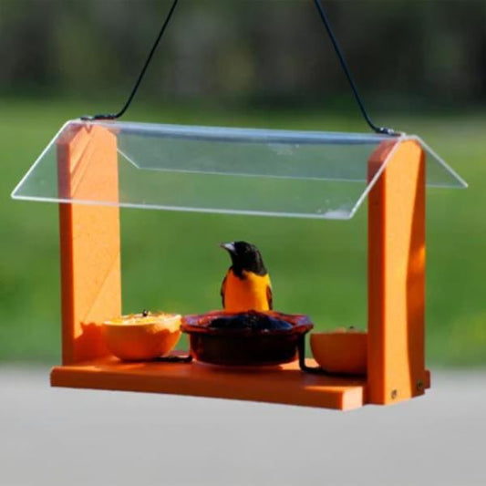 Oriole Feeder