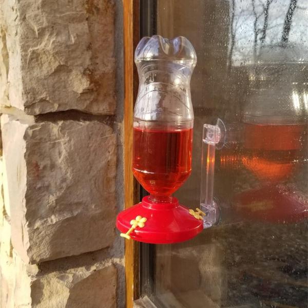 Window Hummingbird Feeder Bagged