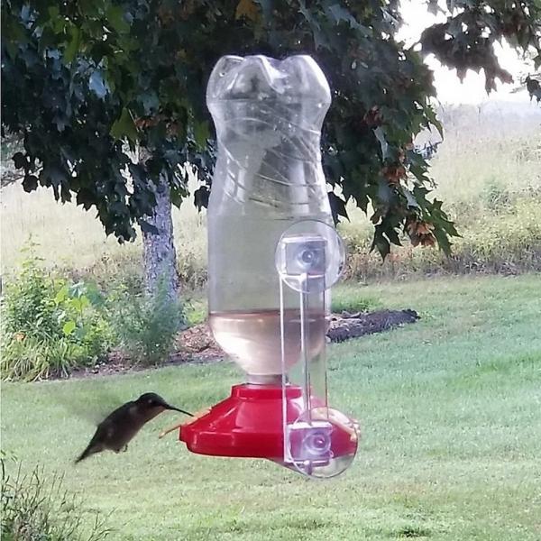 Window Hummingbird Feeder