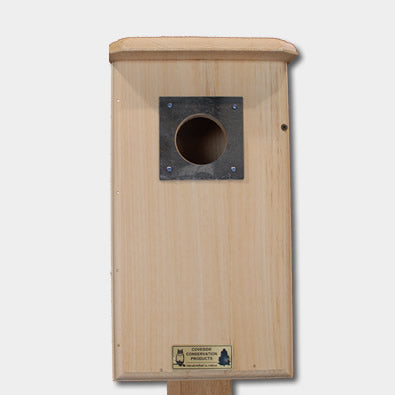 Northern Flicker House