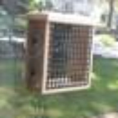 Window Suet Feeder