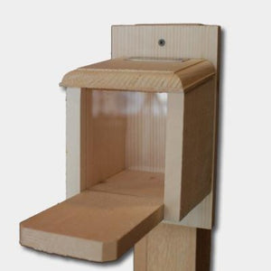 Peanut Box Squirrel Feeder