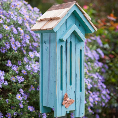 FLUTTER FLAT BUTTERFLY HOUSE