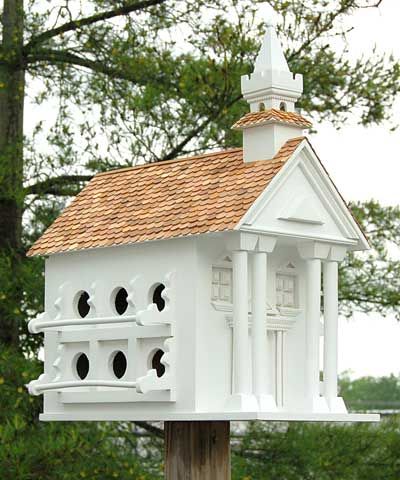 Town Hall For Purple Martins