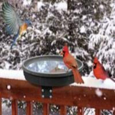 Songbird Spa Heated Bird Bath