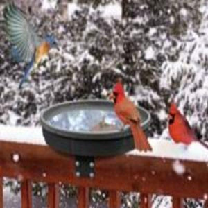 Songbird Spa Heated Bird Bath